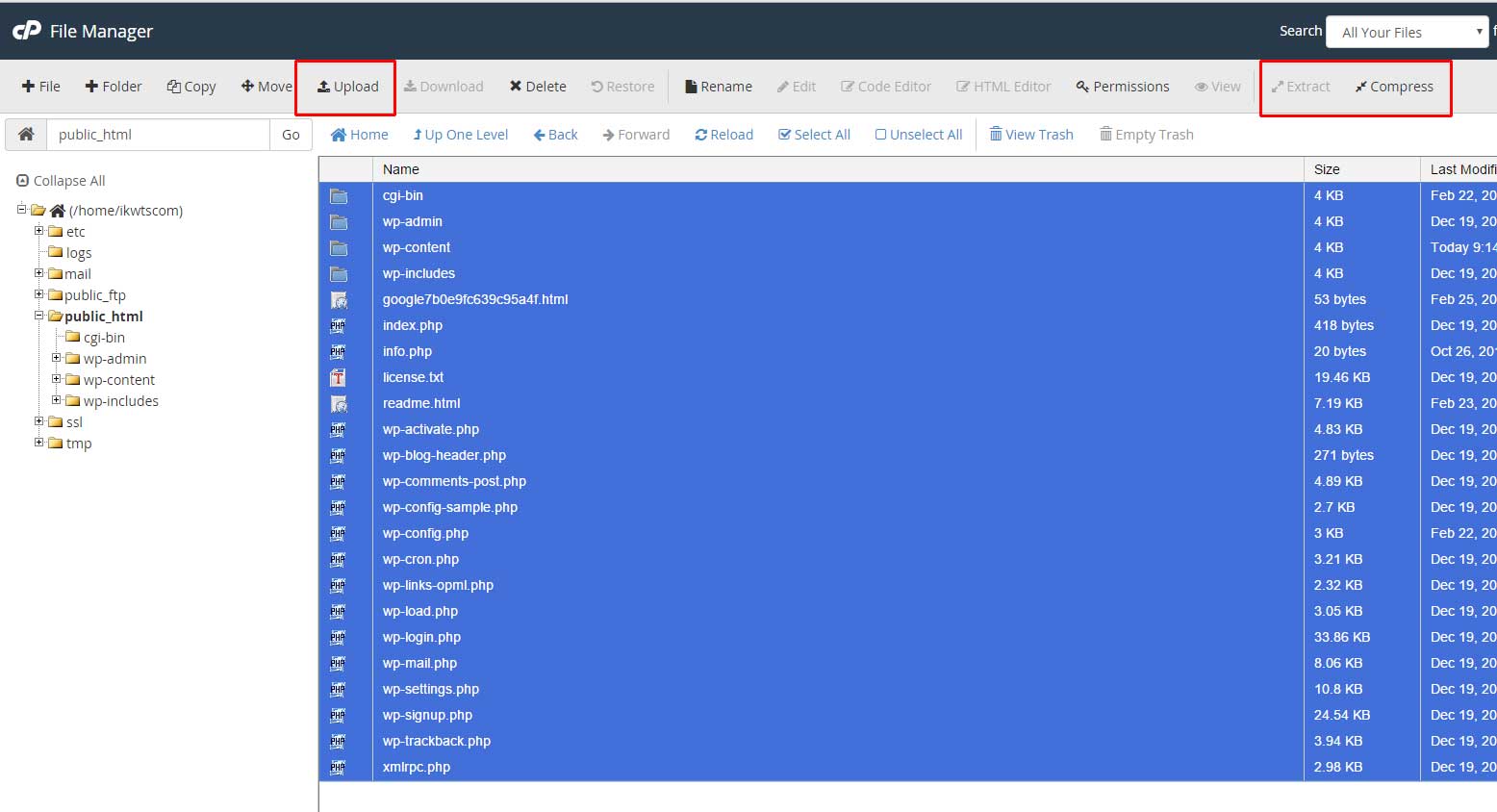 Wordpress Kurulumu